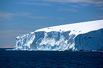 Glacier with ice shelf in Southern Ocean. Orne harbour, Danco Coast, Graham Land, Antarctica. December 2019.