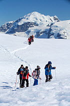 Groups of tourists from expedition cruise ship snow shoeing on Danco Coast, mountains in background. Orne Harbour, Danco Coast, Graham Land, Antarctica. December 2019.