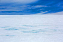 Melt water on retreating glacier. Robert Point, Robert Island, South Shetland Islands, Antarctica. January 2020.