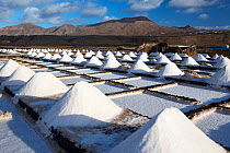 Salt pans at Salinas de Janubio saltworks, mountains in background. Lanzarote, Canary Islands, Spain. November 2019.