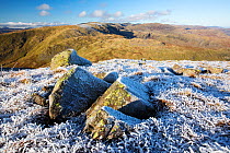 Rocks and grass covered with hoar frost on Red Screes, view towards Helvellyn. Lake District National Park, England, UK. November 2019.