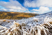 View over hoar frost covered grass on Red Screes towards Kentmere Fells. Lake District National Park, England, UK. November 2019.