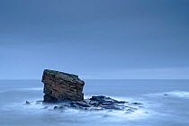 Charley&#39;s Garden Rock, sea stack of triassic sandstone. Seaton Sluice, near Whitley Bay, Tyneside, England, UK. December 2019.