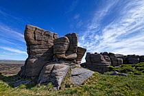 The Boxing Glove, an exposure of eroded and sculpted millstone grit sandstone from the carboniferous period. North Face of Kinder Scout, near Glossop, Peak District National Park, England, UK. June 20...