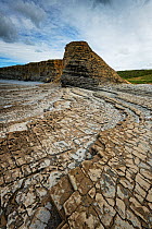 Blue Lias Jurassic limestone rock with joint pattern and thin bedding. Glamorgan Heritage Coast, near Bridgend, Wales, UK. May 2019.