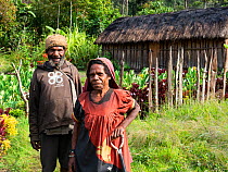Papuan couple in their garden, hut in background, portrait. Bogo, Kerowagi District, Simbu Province, Papua New Guinea. 2019.