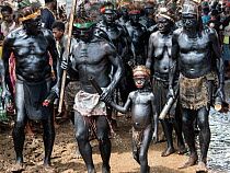 Papuan people covered in black body paint weating tradional dress. At Sing-sing gathering where traditional cultures including dance and music are shared. Morobe Show, Lae, Papua New Guinea. 2019.