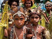 Papuan children in traditional headdresses and jewellery, women in background. At Sing-sing gathering where traditional cultures including dance and music are shared. Morobe Show, Lae, Papua New Guine...