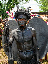 Papuan man covered in black body paint in traditional costume with horns and wings, portrait. At Sing-sing gathering to share traditional dance and music. Morobe Show, Lae, Morobe Province, Papua New...