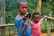 Papuan boys with King of Saxony bird of paradise (Pteridophora alberti), killed with slingshot. Eastern Highlands, Papua New Guinea. 2019.