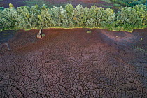Abandoned red mud (alumina) pond, where highly alkaline waste product produced by the industrial production of aluminium was stored.  Formerly used by Polish metal industry, now abandoned dry pond i...