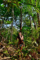 Batek (Orang Asli) man hunting with blow pipe in a rainforest, near Teman Negara National Park, Malaysia.