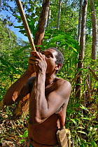 Batek (Orang Asli) man hunting with blow pipe in a rainforest, near Teman Negara National Park, Malaysia.