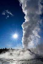 Castle Geyser eruption in the Upper Geyser Basin of Yellowstone National Park. Wyoming, USA. January.