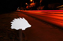 Ghost hedgehog sign, next to busy road at night. Placed to raise awareness of hedgehog road deaths, and to encourage careful driving. Dorset, England, UK. September.