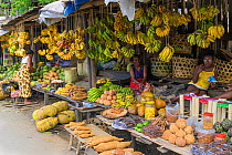 Fruit and vegetable market stall, women selling produce such as bananas, yams and jackfruit. Central Madagascar. 2019.