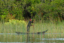 Man punting dugout canoe through wetland. Pangalanes Canal, Palmarium Reserve, Lake Ampitabe, Madagascar. 2019.