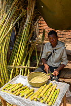 Young man selling sugar cane on market stall. Mandroseza, Antananarivo, Madagascar. 2019.