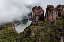 Tepuis, flat topped sandstone mountains, rising above rainforest. Canaima National Park, Venezuela. 2018.