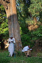 Men in church forest attending Sunday service at Debre Sina Orthodox Church. Church forests remain largely intact within a degraded landscape as they are considered sacred. Near Gorgora, Ethiopia. 201...