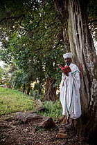 Priest praying in church forest of Gindatemen Michail Orthodox Church. Church forests remain largely intact within a degraded landscape as they are considered sacred. Near Bahir Dar, Ethiopia. 2018.