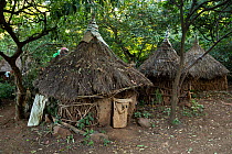 Huts providing accommodation to students within church forest of Zara Michael Church. Church forests remain largely intact within a degraded landscape as they are considered sacred. Near Hamusit, Ethi...