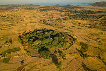 Aerial view of habitat fragmentation with degraded land surrounding church forest of Wagira Mariam Orthodox Church, in morning light. Forest cover in Ethiopia has fallen from 40% to 4.2% in 50 years....