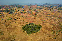 Aerial view of habitat fragmentation with degraded land surrounding church forest of Abe Libanose Orthodox Church. Forest cover in Ethiopia has fallen from 40% to 4.2% in 50 years. Church forests rema...