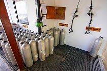 Nitrox scuba diving cylinders lined up at the filling station for the Wakatobi Resort, Indonesia.