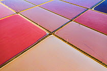 Aerial view of salt pans, pink from pigment of Bacteria (Halobacterium) which thrive in highly saline environments. Salt extracted here is shipped throughout Europe. Santa Pola, Valencian Community, S...