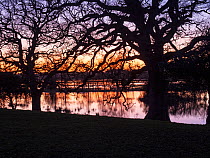 River Avon in flood and Pedunculate oak (Quercus robur) at sunset, Ibsley, near Ringwood, Hampshire, England, UK, January.