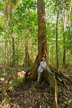 Woman forest bathing in a tropical rainforest, Atherton Tablelands, Far North Queenland, Australia. Model released