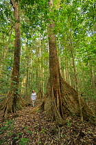 Woman forest bathing in a tropical rainforest, Atherton Tablelands, Far North Queenland, Australia. Model released