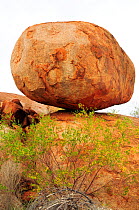 Granitic boulder. Karlu Karlu / Devils Marbles Conservation Reserve, Northern Territory, Australia.