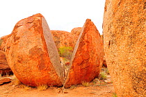 Egg-shaped granitic boulder split in two, weathering caused by extreme desert temperatures. Karlu Karlu / Devils Marbles Conservation Reserve, Northern Territory, Australia.
