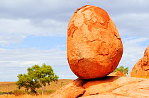Egg-shaped granitic boulder overlooking landscape. Karlu Karlu / Devils Marbles Conservation Reserve, Northern Territory, Australia. 2008.