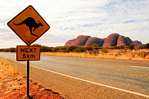 Road sign warning drivers to watch out for kangaroos crossing the road for the next 5km. Uluru / Ayers Rock in distance. Uluru-Kata Tjuta National Park, Northern Territory, Australia.
