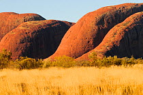 Uluru / Ayers Rock. Uluru-Kata Tjuta National Park, Northern Territory, Australia. 2008.
