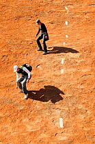 Tourists descending Uluru / Ayers Rock, following marked route. Uluru-Kata Tjuta National Park, Northern Territory, Australia. 2008.