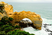 Rock arch on coast. Twelve Apostles, Port Campbell National Park, Great Ocean Road, Victoria, Australia. September 2009.