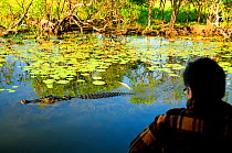 Saltwater crocodile (Crocodylus porosus) in wetland, tourist photographing in foreground. Kakadu National Park, Northern Territory, Australia. 2008.