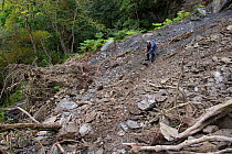 Bunun guide Mr Gao, Yushan National Park, Taiwan, clearing the Walami trail path after a landslide that took out the previous path. Taiwan, March 2019.