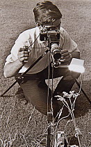 Stephen Dalton using flash to photograph insects in the field with Leitz Hektor lens equipped with home-made automatic diaphragm mounted on Nikon camera body, 1969.