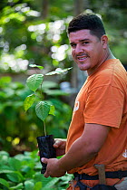 Man holding sapling from tree nursery, portrait. Trees used for tropical rainforest regeneration. Golfito, Costa Rica. 2018.