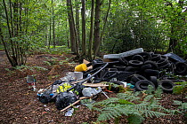 Illegal fly tipping of rubbish including car tyres in woodland nature reserve. Surrey, England, UK. September 2020.