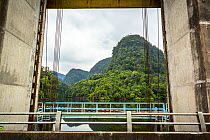 View of rainforest from hydro electric dam, Batang Toru, North Sumatra