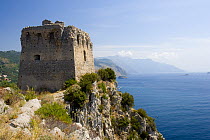 Torre di Montalto. Punta Campanella Marine Protected Area, Costa Amalfitana, Italy. July.