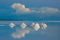 Salt cones on the Salar de Uyuni, Bolivia. March. The Salar is the world&#39;s largest salt flat, at over 10500 square kilometers. Salt is shoveled into these cones, to be collected later.