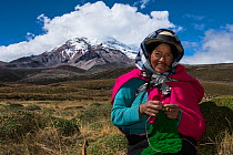 Chimborazo Volcano, and indigenous woman knitting. Andes, Ecuador. August 2016. This is the highest mountain in Ecuador, and the farthest point from the centre of the earth.