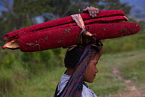 Dani tribe woman carrying Pandanus palm fruit. Budaya village, Suroba, Trikora Mountains, West Papua, Indonesia. March 2018.